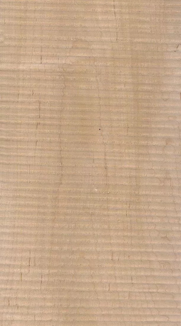 桦木的芯材颜色是淡红棕色，边材颜色近白色，板面宽且带影的木皮市场价格良好，纹理通常是直纹和波浪纹，质地均匀，板面有很好的自然光泽度。.webp.jpg
